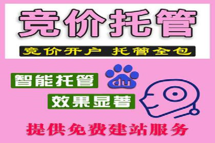SEM托管实战：某电商平台的成功经验